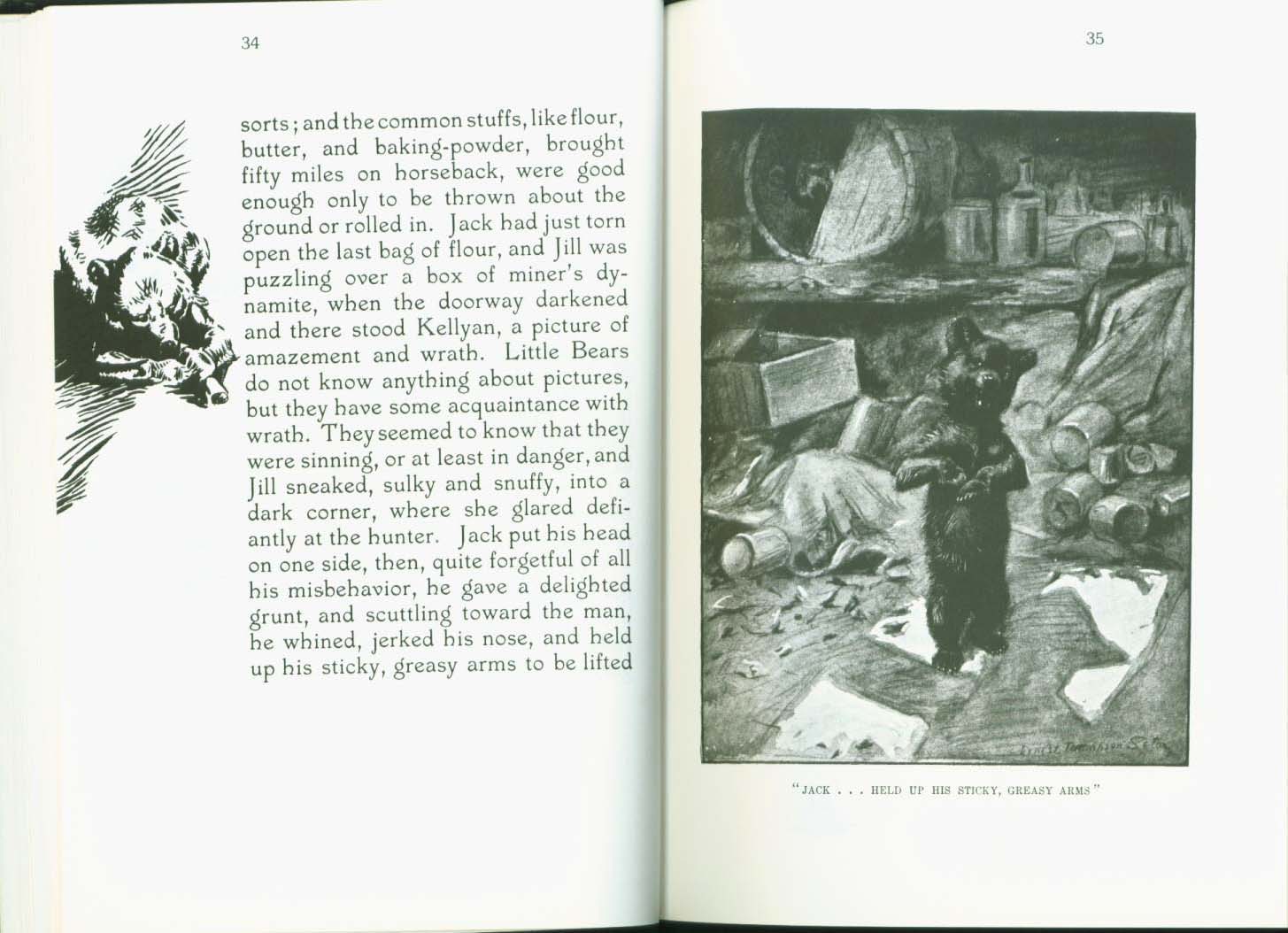 MONARCH, the Big Bear of Tallac in the Lake Tahoe High Sierra. vist0040f